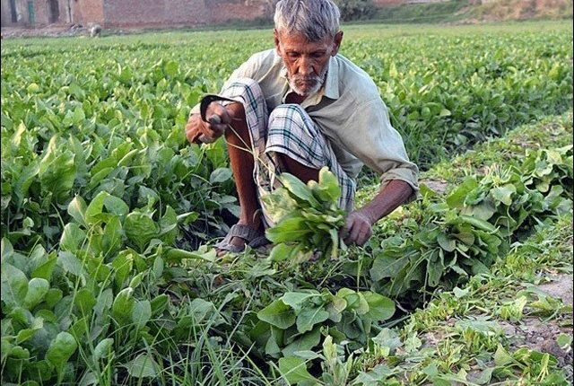 بلوچستان، عوام کو روزگار کی فراہمی کیلیے این جی او کا خود کفیل پروگرام