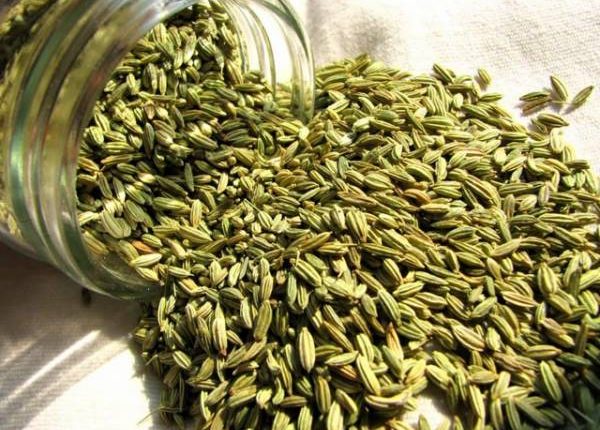 السی اور سونف کا قیمتی نسخہ ، موٹاپے سے نجات کا بہترین اور آزمودہ نسخہ