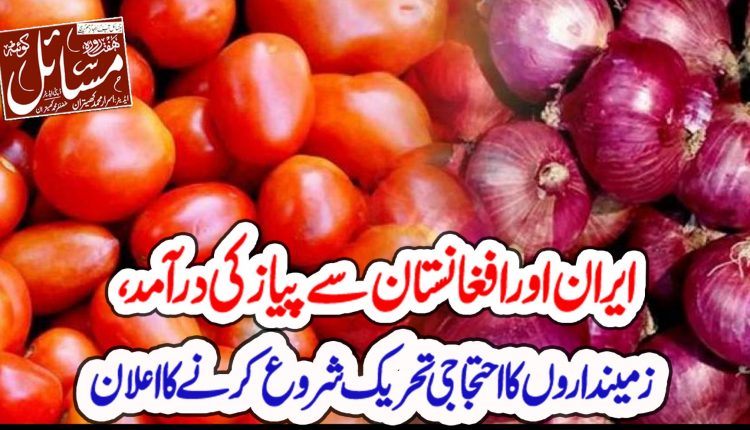 ایران اور افغانستان سے پیاز کی درآمد زمینداروں کا قومی سطح پر احتجاجی تحریک شروع کرنے کا اعلان
