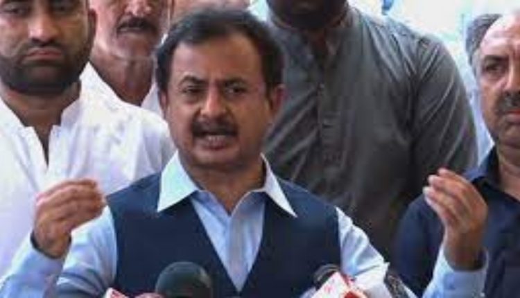 مسلم لیگ ن اور پیپلزپارٹی سیاسی جماعتیں نہیں خاندانی مافیا بن چکی ہیں، حلیم عادل شیخ