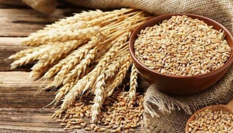 گندم مافیا پھر سرگرم،آٹا مزید مہنگا ہو گیا