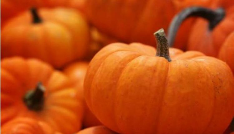 حضوراکرم ؐ کی پسندیدہ غذا ’کدو ‘کھانے کا ایسا فائدہ جسے دنیا کے بڑے بڑے سائنسدان بھی مان گئے