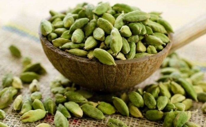 چھوٹی الائچی ! قدرت کے اس چھوٹے سے تحفے میں کیا فوائد پوشید ہ ہیں؟ جان کر اسے اپنی زندگی کا حصہ بنا لیں گے
