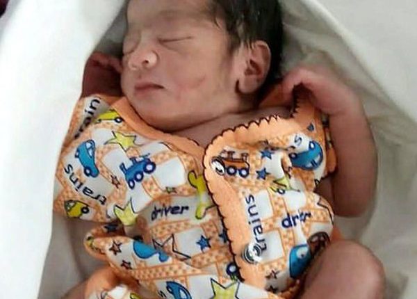 سخت سردی میں تنہا چھوڑی گئی نوزائیدہ بچی کو کتوں نے بچالیا