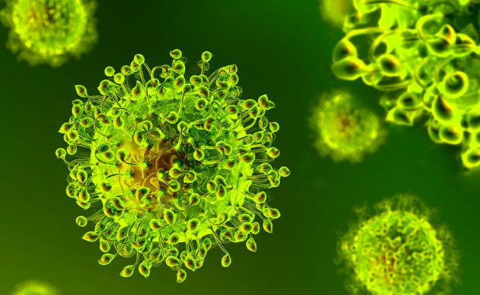 پاکستان میں 24 گھنٹے کےدوران کورونا سے 2اموات رپورٹ