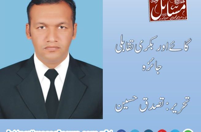 گائے اور بکری تقابلی جائزہ،تحریر:تصدق حسین