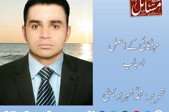 مہنگائی کے اصل اسباب،تحریر:محمّد شہزاد بھٹی