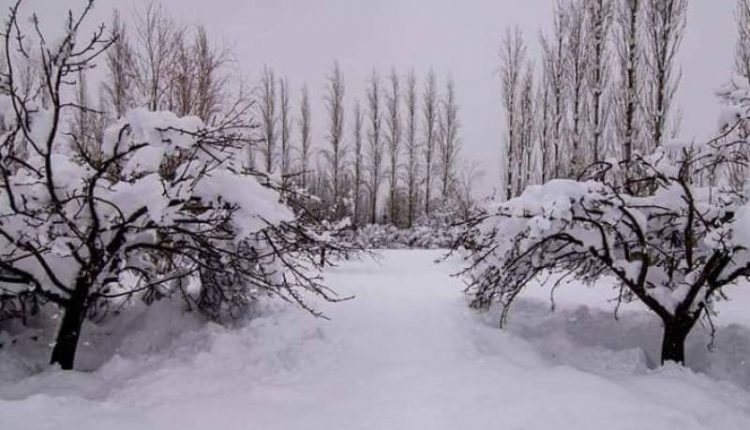 قلات، گردونواح میں بارش اور برف باری سے سردی کی شدت میں اضا فہ