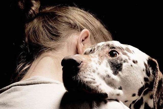 اسپین میں میاں بیوی کی طلاق کے بعد پالتو جانوروں کی حوالگی بھی قانون کے تحت ہوگی