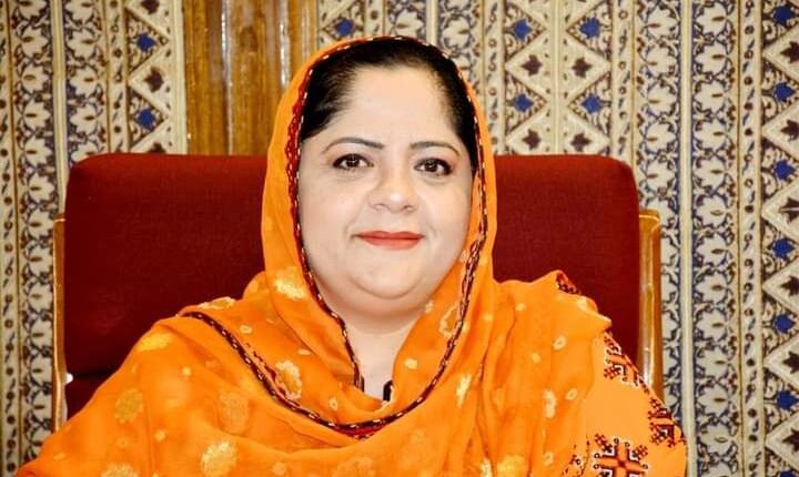 دہشتگرد بزدلانہ حملے کر کے ہمارے حوصلے پست نہیں کر سکتے، بشریٰ رند