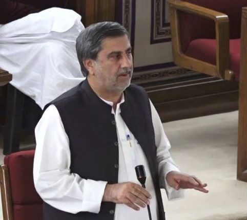 ملک کو عالمی ادارے کے ایما پر چلایا جارہا ہے، نصیراحمدشاہوانی