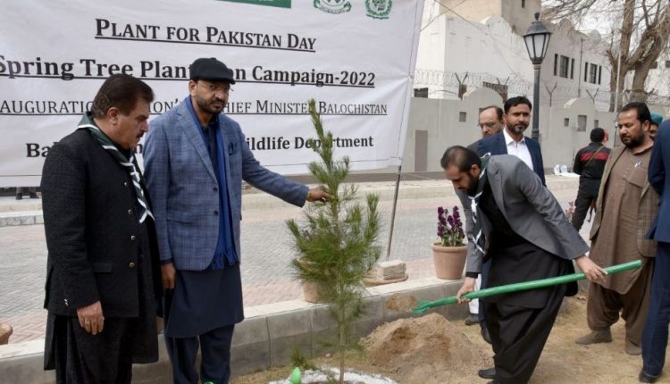 جنگلات کی کٹائی کو ہر صورت روکا جائے گا،وزیراعلیٰ بلوچستان