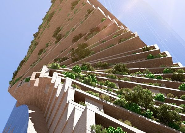 آسٹریلیا میں دنیا کے سب سے بلند عمودی باغ کی تعمیر شروع ہوگئی