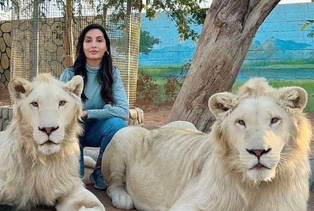 نورا فتیحی کی دبئی میں شیروں کے ساتھ تصاویر وائرل