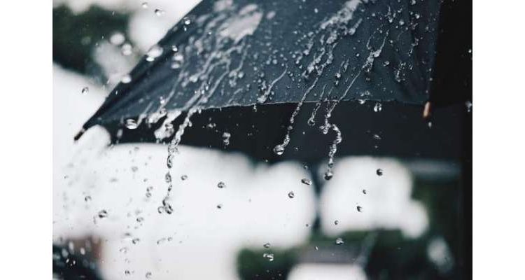 محکمہ موسمیات کی جاری بارش آئندہ چوبیس گھنٹوں تک جاری رہنے کی پیش گوئی