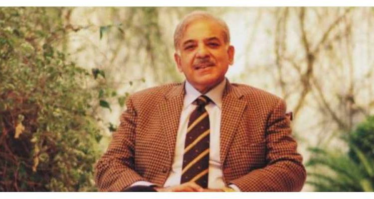 شہباز شریف کا حکومتی اتحادی جماعت کے ساتھ معاملات طے پانے کا دعویٰ