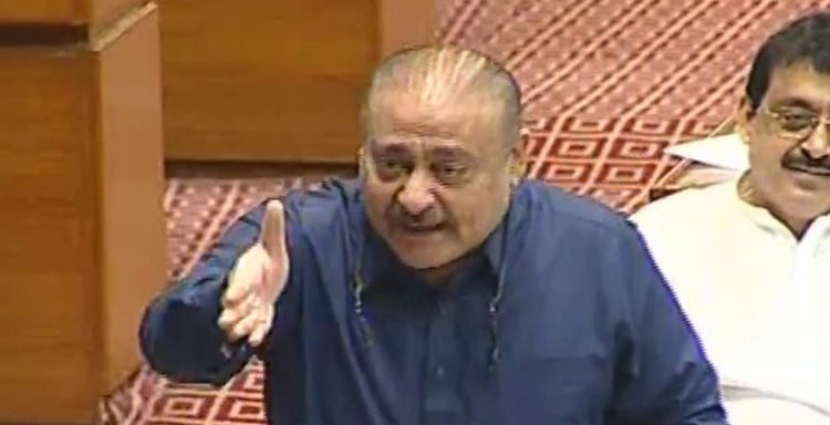 ایک بار وزیر کیا بنا، مراد سعید نے چیخنے چلانے کو ہی کامیابی کی چابی سمجھ لیا، قادر پٹیل