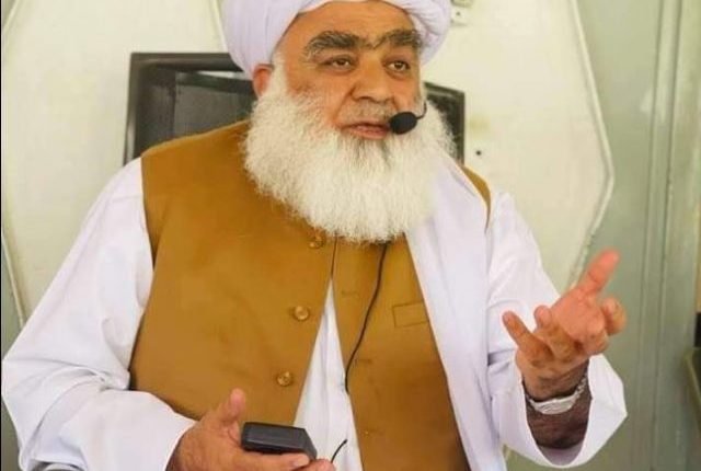 اپوزیشن نے جمہوری طریقے سے حکومت کو گرا دیا، مولانا عبدالواسع