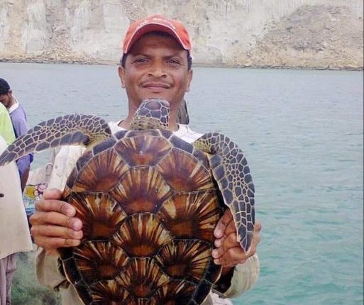 گوادر، غلطی سے پکڑا گیا نایاب کچھوا مچھیروں نے واپس سمندر میں چھوڑ دیا