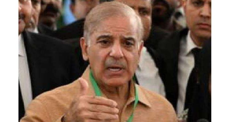 ن لیگ کے صدرشہباز شریف کے وزیراعظم منتخب ہونے پر امریکا کا ردعمل سامنے آگیا