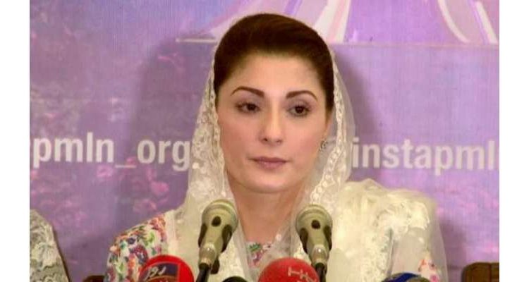 حکومتی ارکان کا دوست مزاری پر تشددمریم نواز کا رد عمل آگیا