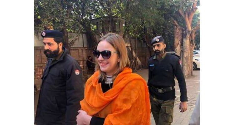 سپریم کورٹ نے غیر ماڈل ٹریزا کو بیرون ملک جانے سے روک دیا