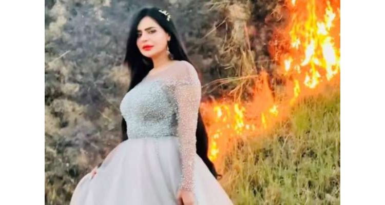 جنگل میں آگ لگا کر ویڈیوز بنانے کا معاملہ، ٹک ٹاک کا موقف بھی سامنے آ گیا