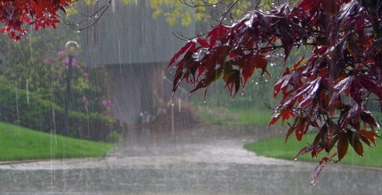 ملک کے ان علاقوں میں گرج چمک کیساتھ بارشیں ، محکمہ موسمیات نے عوام کو خوشخبری سنا دی