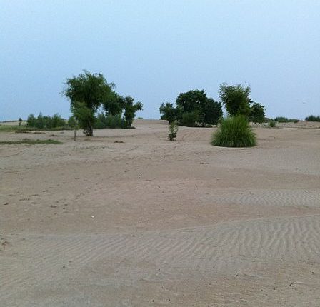 صحرائے تھل تاریخ کے آئینے میں