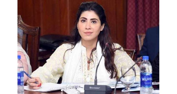 وزیراعلیٰ کا انتخاب کا معاملہ، حنا پرویز بٹ کا پی ٹی آئی کے لیے پیغام