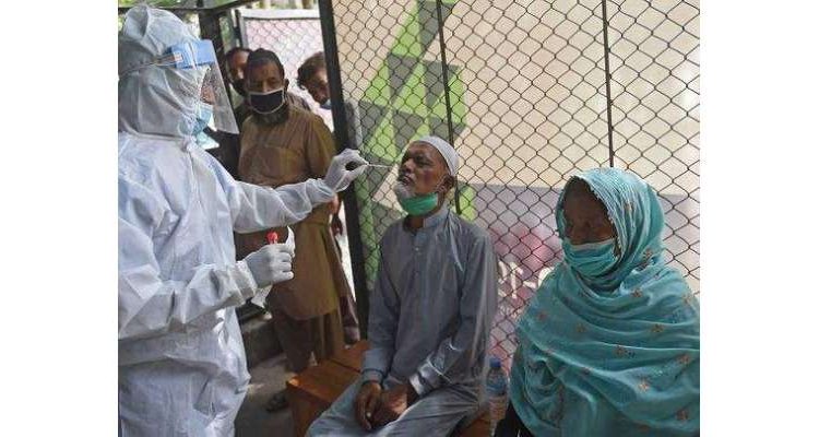 ملک میں 600 سے زائد کیسز رپورٹ، شرح 3 فیصد سے زیادہ