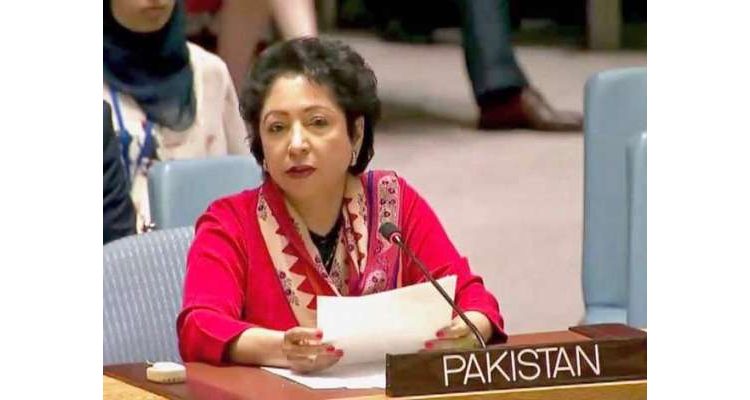 واشنگٹن کے بیجنگ سے تناؤ کی وجہ سے پاکستان کے امریکا سے تعلقات متاثر ہو سکتے ہیں