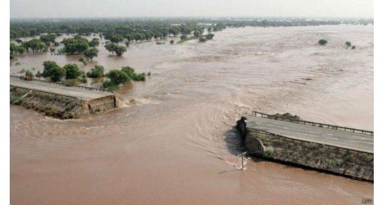 بارشوں،سیلاب سے فصلیں تباہ ہونے سے کسانوں کا اربوں کا سرمایہ ڈوب گیا