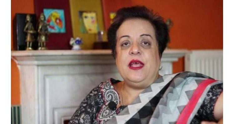 جسٹس فائز عیسیٰ کے خلاف مقدمات فروغ نسیم نے بنائے: شیریں مزاری