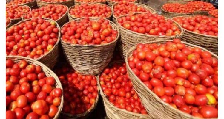 ملک میں سبزیوں کی دستیابی کا بحران آئندہ 3 ماہ تک جاری رہنے کا خدشہ