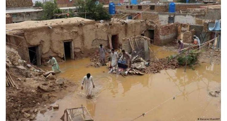 پی ٹی آئی کے فضل محمد نے 70 فیصد سیلاب متاثرین کو جعلی قرار دیدیا