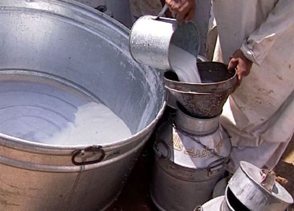 کوئٹہ ،دودھ کے نرخ مقرر،دودھ 135 جبکہ دھی 145روپے کلو میں فروخت کیا جائے گا