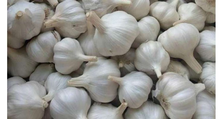 ڈکیتی کی انوکھی واردات، مسلح ملزمان فارم ہاؤس سے لہسن کے تھیلے چھین کر فرار