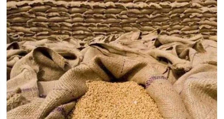 10 لاکھ ٹن گندم مقامی قیمت کے مقابلے مہنگی درآمد کیے جانے کا انکشاف