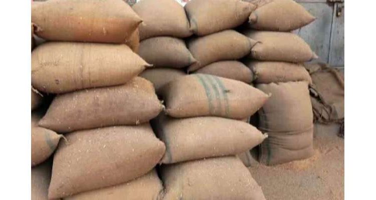 وفاق نے پنجاب کو فوری طور پر 5 لاکھ ٹن گندم دینے کی اجازت دے دی