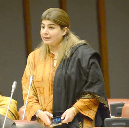 بزدل دشمن امن و امان کو سبوتاژ کرنا چاہتا ہے، ثمینہ ممتاز زہری