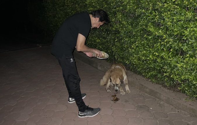 وارنٹ گرفتاری جاری ہونے کے بعد عمران خان کیا کرتے رہے، شبلی فراز نے تصویر شیئر کر دی