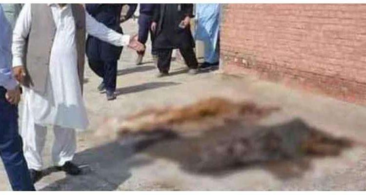 لاشیں چھت پر رکھنے والے ملازمین کیخلاف کارروائی کا فیصلہ