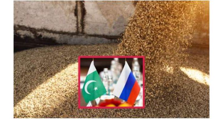روس نے پاکستان کو گندم درآمد کرنے کی پیشکش کردی