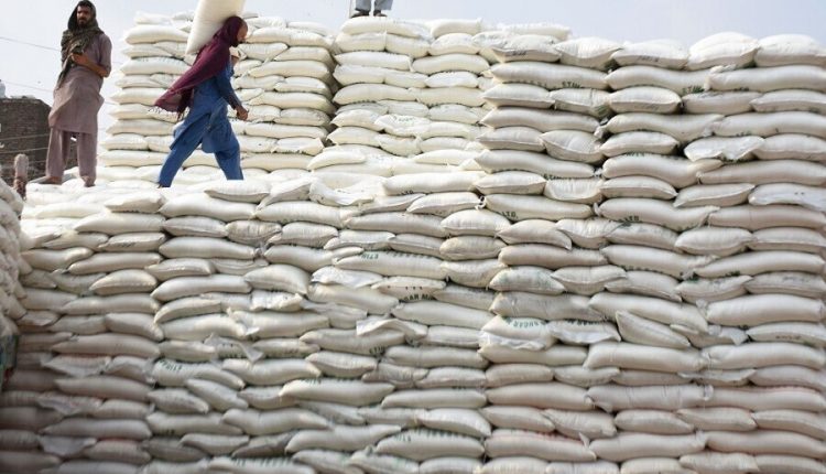 پنجاب میں گنے کی کرشنگ شروع کرنے کے حوالے سے تنازعہ سامنے آ گیا