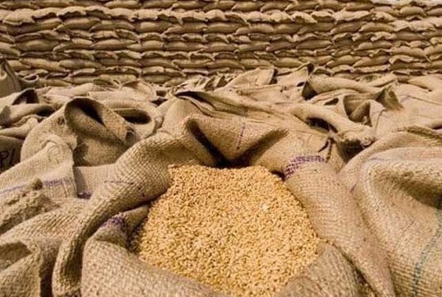 روس سے گندم درآمد کرنے کی منظوری دے دی گئی