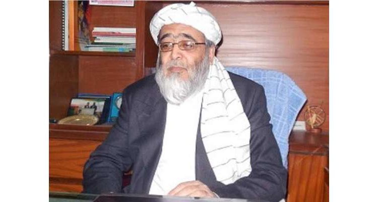 حافظ حسین احمد دوبارہ جے یو آئی ف کا حصہ بن گئے