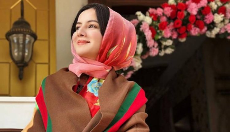 اپنی بولڈ ویڈیوز خود بنائی تھیں، انہیں ایک خاتون نے لیک کیا، رابی پیرزادہ کا انکشاف