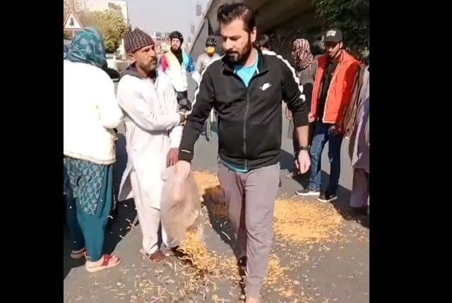 لاہور میں پھیری والے کی دال سڑک پر پھینکنے والا امیر زادہ گرفتار