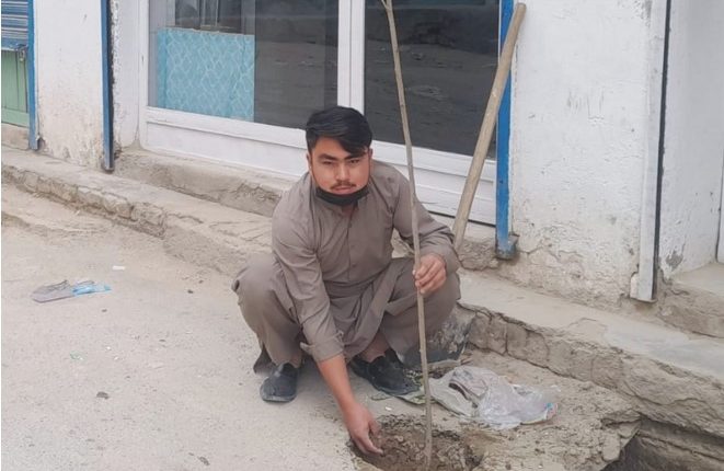 موسمیاتی تبدیلی و دیگر ماحولیاتی تبدیلی سے بچنے کیلئے پودوں اور درختوں کا کردار انتہائی اہمیت کا حامل ہیں،کاشف حیدری